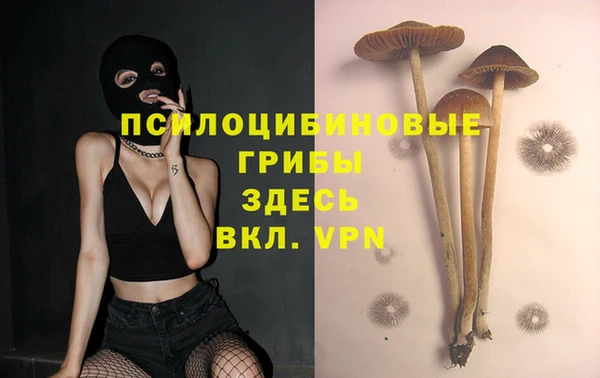 гашик Алзамай